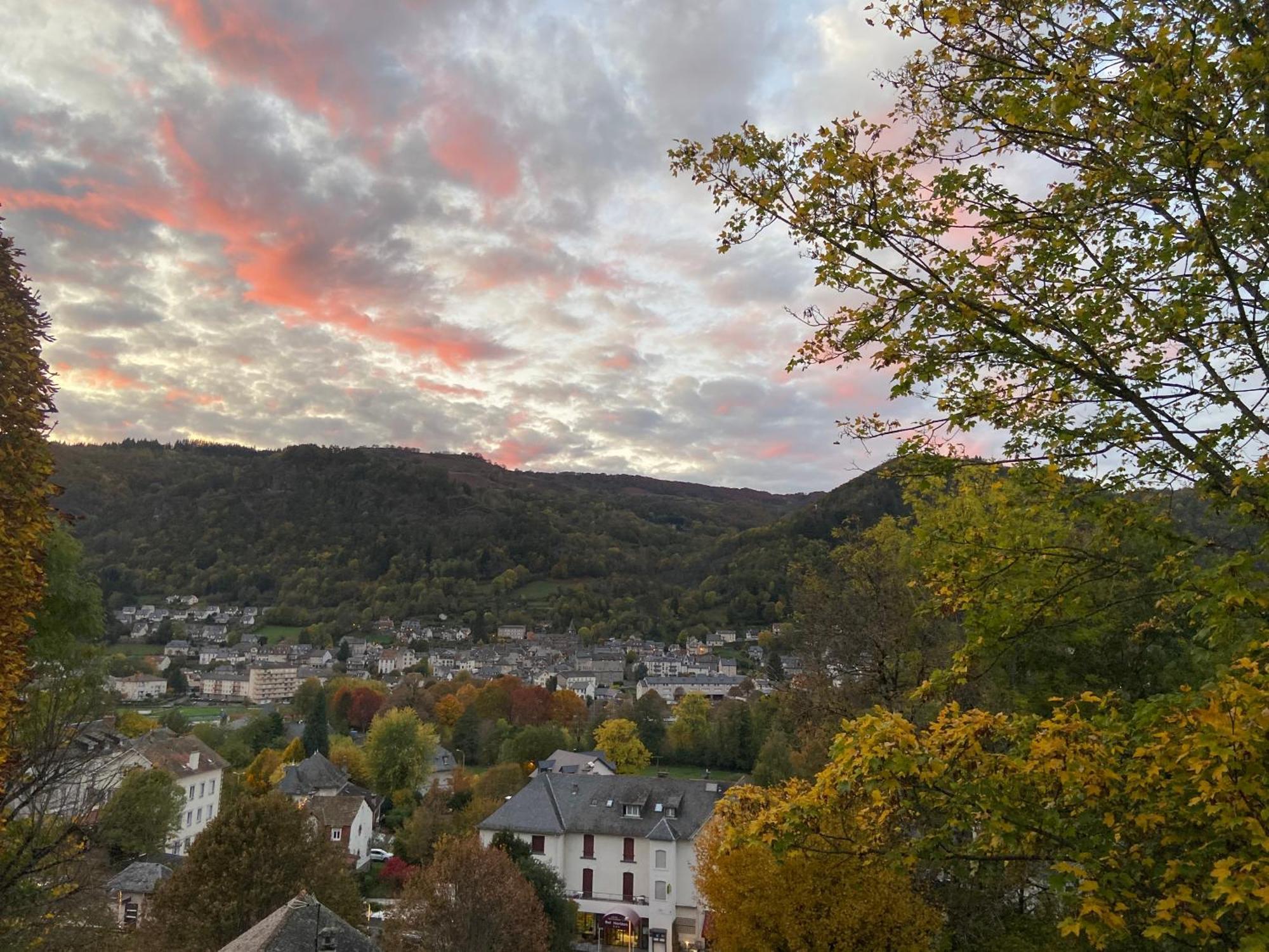 Logis Hotel Bel Horizon Vic-sur-Cère Exteriör bild