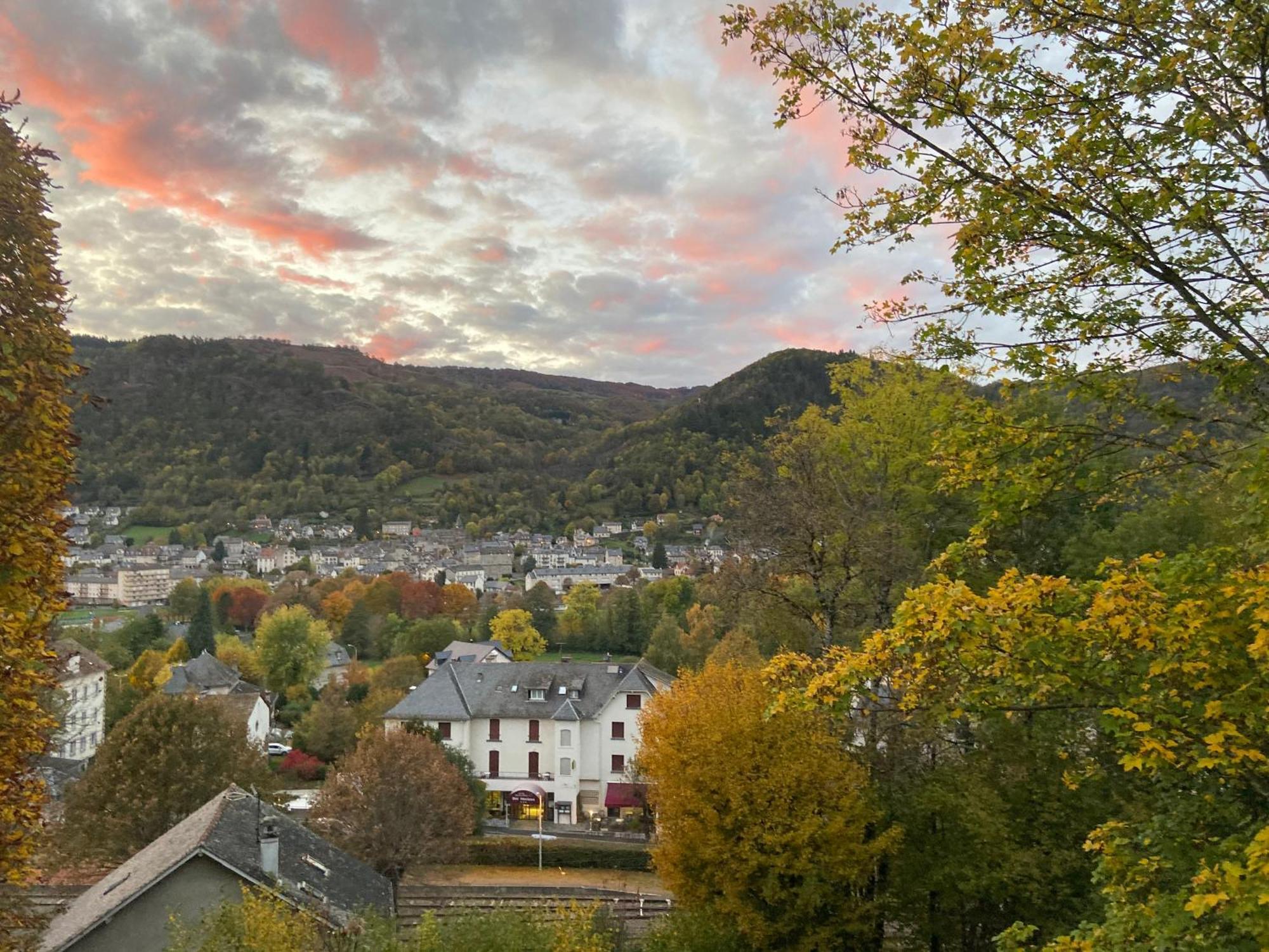 Logis Hotel Bel Horizon Vic-sur-Cère Exteriör bild